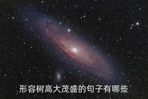 形容樹,樹干足有碗口粗樹葉綠得可愛怎么形容樹?