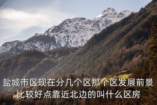 鹽城市區(qū)現(xiàn)在分幾個區(qū)那個區(qū)發(fā)展前景比較好點靠近北邊的叫什么區(qū)房