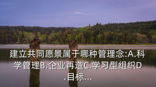 共同愿景,第二集:企業愿景可轉化成共同愿景