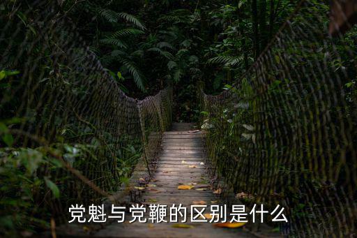 黨魁與黨鞭的區別是什么