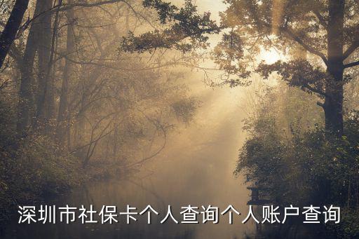 深圳市社保卡個(gè)人查詢個(gè)人賬戶查詢