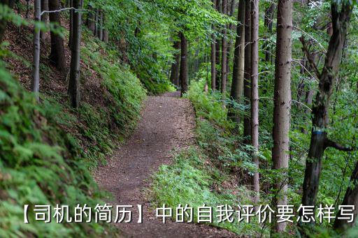 【司機的簡歷】中的自我評價要怎樣寫