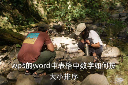 wps的word中表格中數字如何按大小排序