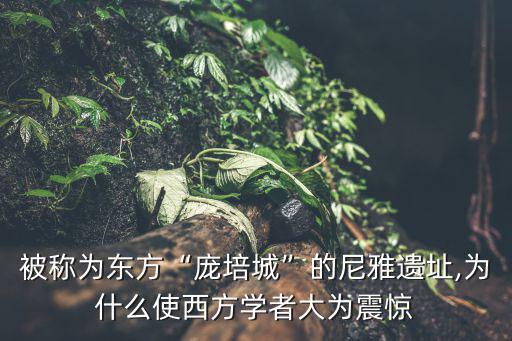 被稱為東方“龐培城”的尼雅遺址,為什么使西方學者大為震驚