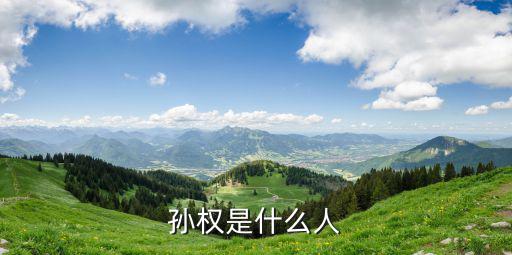 孫權(quán)字什么,孫權(quán)掉轉(zhuǎn)船頭再以另一側(cè)受傷倒下