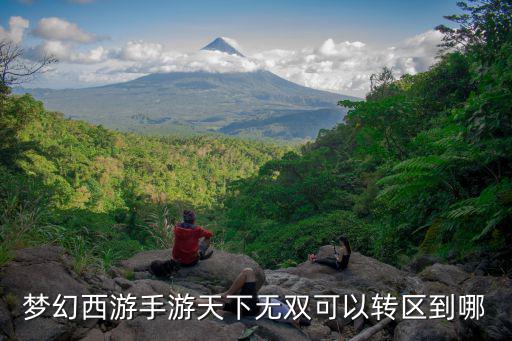 夢幻西游手游天下無雙可以轉區到哪