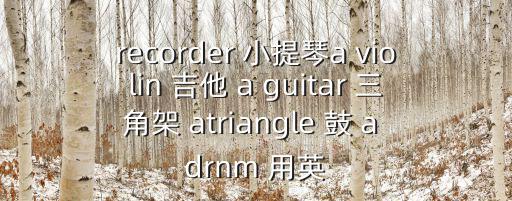 recorder 小提琴a violin 吉他 a guitar 三角架 atriangle 鼓 a drnm 用英