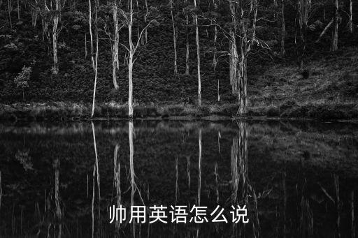 帥用英語怎么說