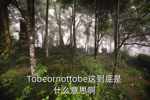 tobeornottobe,生存還是死亡這句話有何用處?