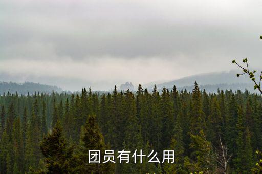團員有什么用