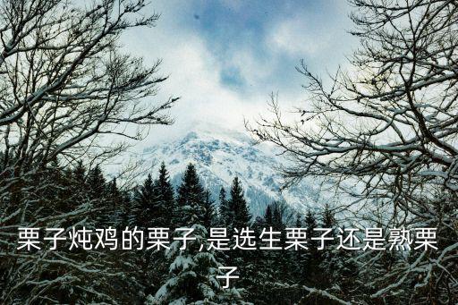 栗子燉雞的栗子,是選生栗子還是熟栗子