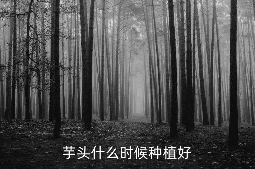 芋頭什么時候種,芋頭種植方法和時間問與答（13）