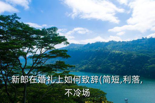婚慶致辭,結婚新郎致辭（簡短,不冷場）