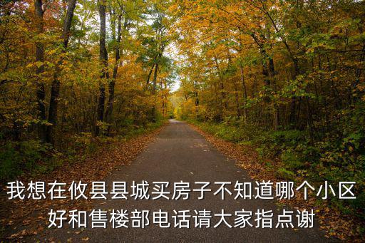 我想在攸縣縣城買房子不知道哪個小區好和售樓部電話請大家指點謝