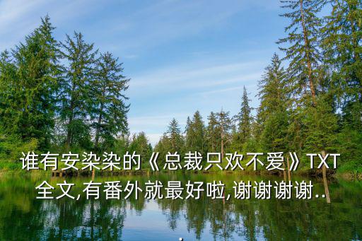 誰有安染染的《總裁只歡不愛》TXT全文,有番外就最好啦,謝謝謝謝...