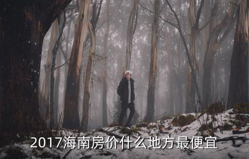 2017海南房?jī)r(jià)什么地方最便宜