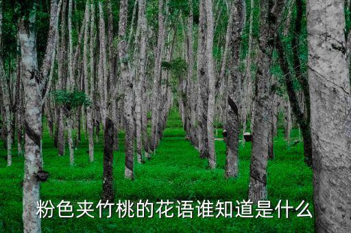 夾竹桃的花語,夾竹桃花語:咒罵注意危險