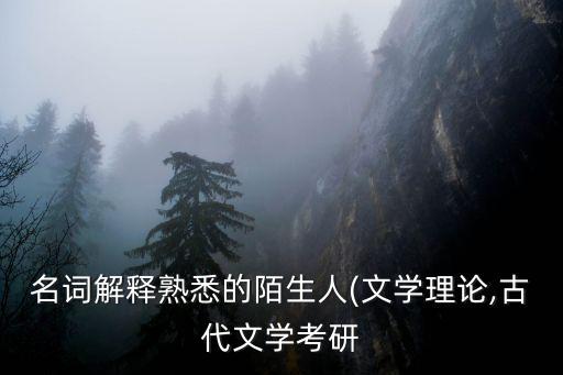 文學(xué)理論名詞解釋,文學(xué)的補(bǔ)償功能可從讀者和作者兩方面理解