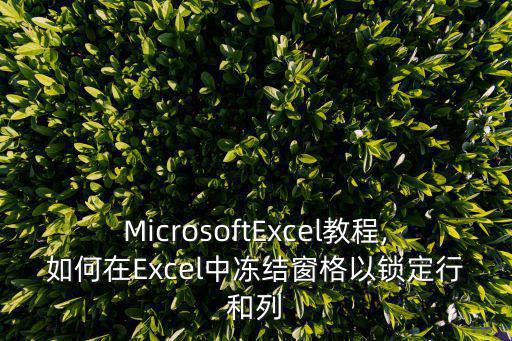 excel鎖定列,如何在excel中凍結(jié)文件以確定行和列