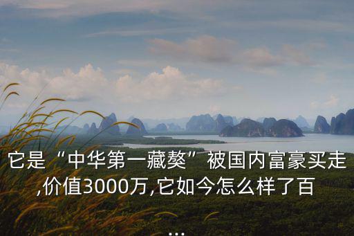 它是“中華第一藏獒”被國內富豪買走,價值3000萬,它如今怎么樣了百...