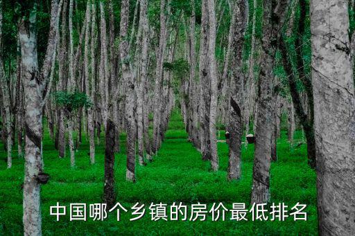 中國哪個鄉鎮的房價最低排名