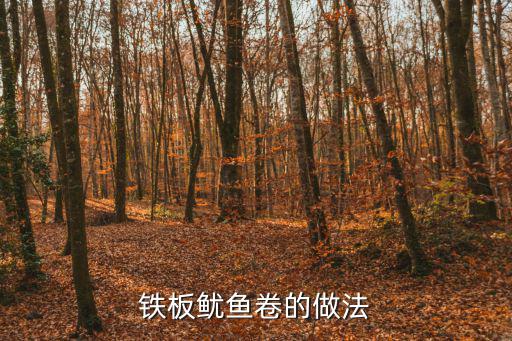 鐵板魷魚卷的做法
