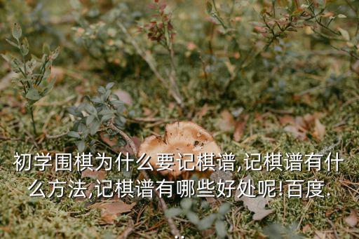 棋譜,有哪些象棋棋譜(求名稱】（15）