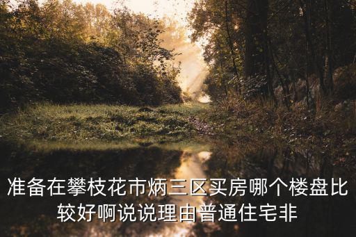 準備在攀枝花市炳三區買房哪個樓盤比較好啊說說理由普通住宅非