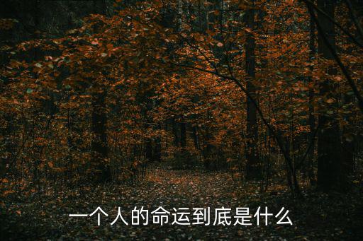 一個(gè)人的命運(yùn),命運(yùn)掌控在自己手中