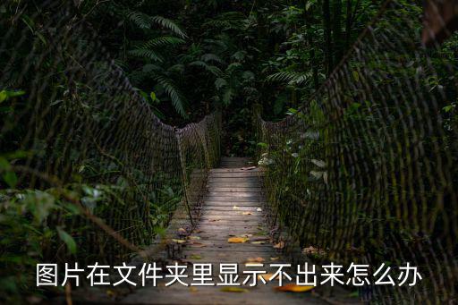 圖片在文件夾里顯示不出來怎么辦