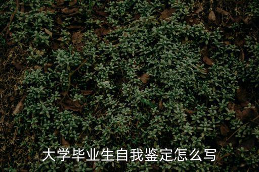大學畢業生自我鑒定怎么寫
