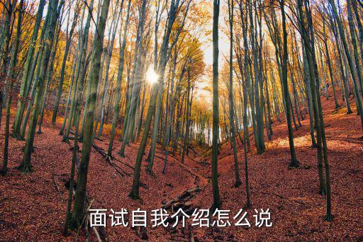 面試自我介紹怎么說