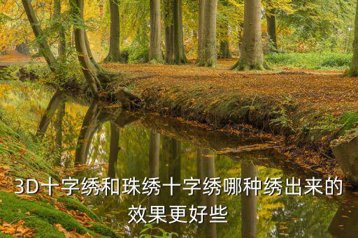 3D十字繡和珠繡十字繡哪種繡出來的效果更好些