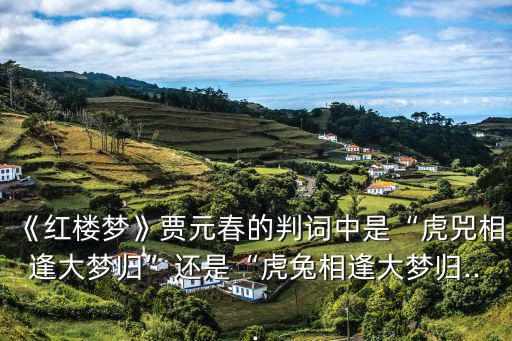 元春判詞,賈元春判詞:虎兔相逢大夢歸二十年來辯是非