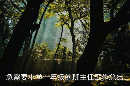 急需要小學一年級的班主任工作總結