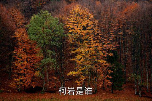 柯巖是誰