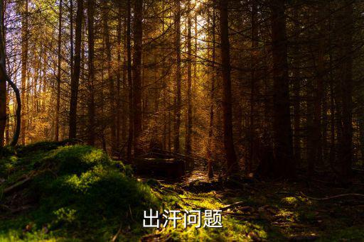 出汗問題