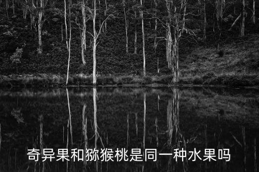 奇異果和獼猴桃是同一種水果嗎