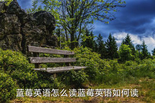 藍莓英語怎么讀藍莓英語如何讀