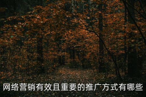 網絡營銷有效且重要的推廣方式有哪些
