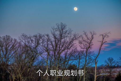 個人職業規劃書