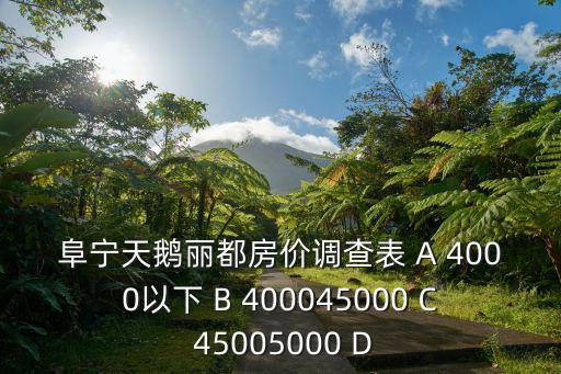 阜寧天鵝麗都房價調查表 A 4000以下 B 400045000 C 45005000 D