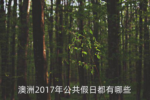 澳洲2017年公共假日都有哪些