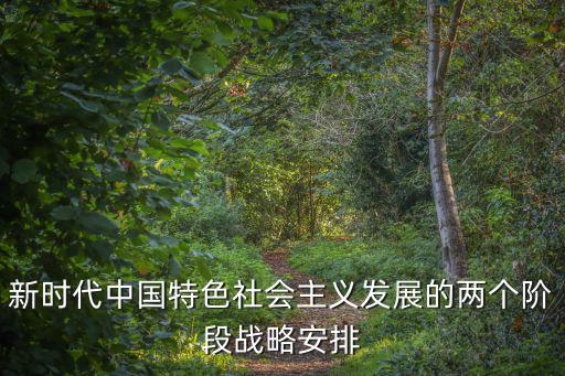 新時(shí)代中國(guó)特色社會(huì)主義發(fā)展的兩個(gè)階段戰(zhàn)略安排