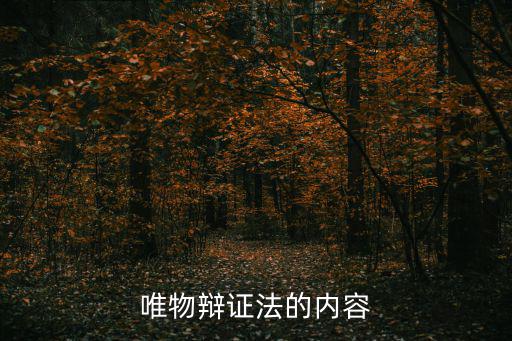 唯物辯證法認為,馬克思主義辯證法之一