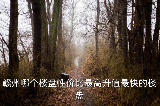 贛州哪個(gè)樓盤性價(jià)比最高升值最快的樓盤