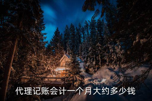 代理記賬會(huì)計(jì)一個(gè)月大約多少錢