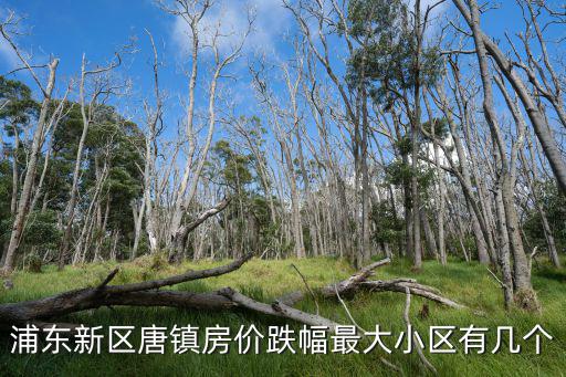 唐鎮哪個樓房最旺房價，浦東新區唐鎮房價跌幅最大小區有幾個