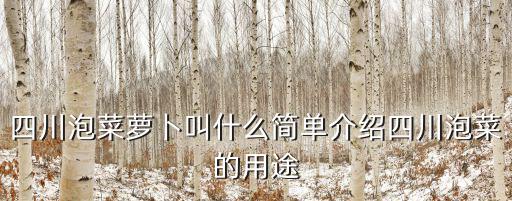 四川泡菜蘿卜叫什么簡單介紹四川泡菜的用途