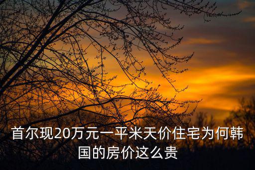 首爾現20萬元一平米天價住宅為何韓國的房價這么貴